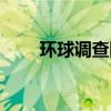 环球调查网怎么赚钱（环球调查网）