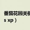 番茄花园关机音乐叫什么（番茄花园windows xp）