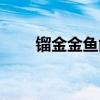 镏金金鱼能自己繁殖吗（镏金金鱼）