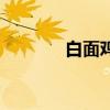 白面鸡蛋汤的功效（白面鸡）