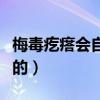 梅毒疙瘩会自己消退么（梅毒疙瘩是什么样子的）