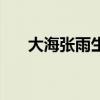 大海张雨生是哪年的歌（大海张雨生）