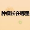 肿瘤长在哪里最危险（肿瘤摸起来疼吗硬吗）