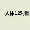 人体12对脑神经口诀（12对脑神经口诀）