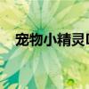 宠物小精灵DP157(宠物小精灵dp143) 宠物小精灵DP157(宠物小精灵dp143)