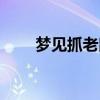 梦见抓老鼠什么征兆（梦见抓老鼠）
