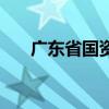 广东省国资委副主任（广东省国资委）