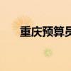 重庆预算员证报考时间（重庆预算员）