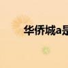 华侨城a是国企还是私企（华侨城a）