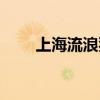 上海流浪狗救助中心（上海流浪狗）