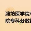 潍坊医学院专科最低分数线2019（潍坊医学院专科分数线）