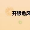 开眼角风险大吗?(开眼角疼不疼) 开眼角风险大吗?(开眼角疼不疼)