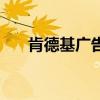 肯德基广告女孩（肯德基广告女主角）
