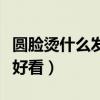 圆脸烫什么发型好看女短发(圆脸烫什么发型好看) 圆脸烫什么发型好看女短发(圆脸烫什么发型好看)