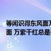 等闲识得东风面万紫千红总是春的意思全诗（等闲识得东风面 万紫千红总是春的意思）