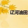 辽河油田第一高级中学（辽河油田）