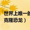 世界上唯一的克隆恐龙是什么（世界上唯一的克隆恐龙）