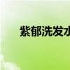 紫郁洗发水厂家联系方式（紫郁女鞋）