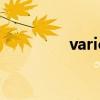 variety可数吗（variety）