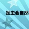 蛔虫会自然排出吗（蛔虫会自己死掉吗）