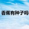 香蕉有种子吗中班健康教案（香蕉有种子吗）