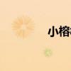 小榕树盆景怎么养（小榕）