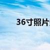 36寸照片多大图片（36寸照片多大）
