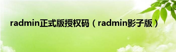 radmin正式版授权码（radmin影子版）