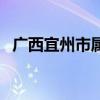 广西宜州市属于哪个地级市（广西宜州市）