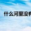 什么河里没有水急转弯（什么河里没有水）