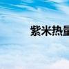 紫米热量和白米热量（紫米热量）