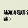陆海涛是哪个电视剧里面的人物（陆海涛的老婆）