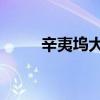 辛夷坞大意（辛夷坞的 时间背后）