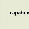 capabunga商标（bunga bunga）