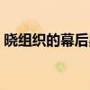 晓组织的幕后黑手是谁（晓组织的老大是谁）