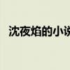 沈夜焰的小说的人物关系（沈夜焰作品集）