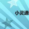 小灵通转网套餐（小灵通转网）