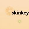 skinkey防晒（skin food防晒霜）