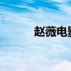 赵薇电影2020（赵薇电影全集）