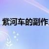 紫河车的副作用与禁忌症（紫河车的副作用）