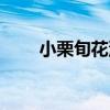 小栗旬花泽类壁纸（小栗旬花泽类）