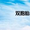 双胞胎异父同母（双胞胎异父）
