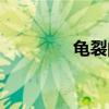 龟裂的拼音（沙砾的拼音）