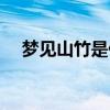 梦见山竹是什么意思（山竹是什么意思）