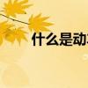 什么是动车组重联（什么是动车组）