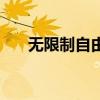 无限制自由搏击赛（无限制自由搏击）
