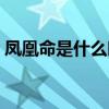 凤凰命是什么时辰（哪个时辰出生是凤凰命）