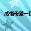 感悟母爱一段话100字（感悟母爱一段话）