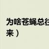 为啥苍蝇总往我身上飞（苍蝇为什么老往身上来）