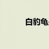 白豹龟是保护动物吗（白豹龟）